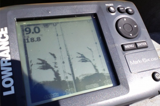 ローランス Mark-5X DSI