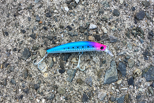 ピンテールEZ28g
