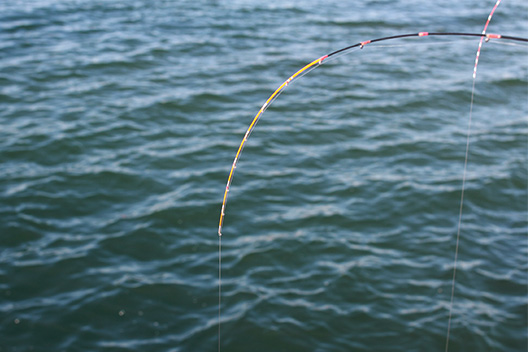 宇崎日新の筏用チヌ竿 黒武士のインプレ ヘチ釣り ズボ釣りにも ゆるりとバス釣りブログ