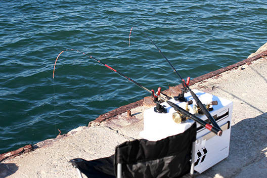 堤防で数釣り最強はチヌ竿でのヘチ釣り ルアーマンにもおすすめ ゆるりとバス釣りブログ